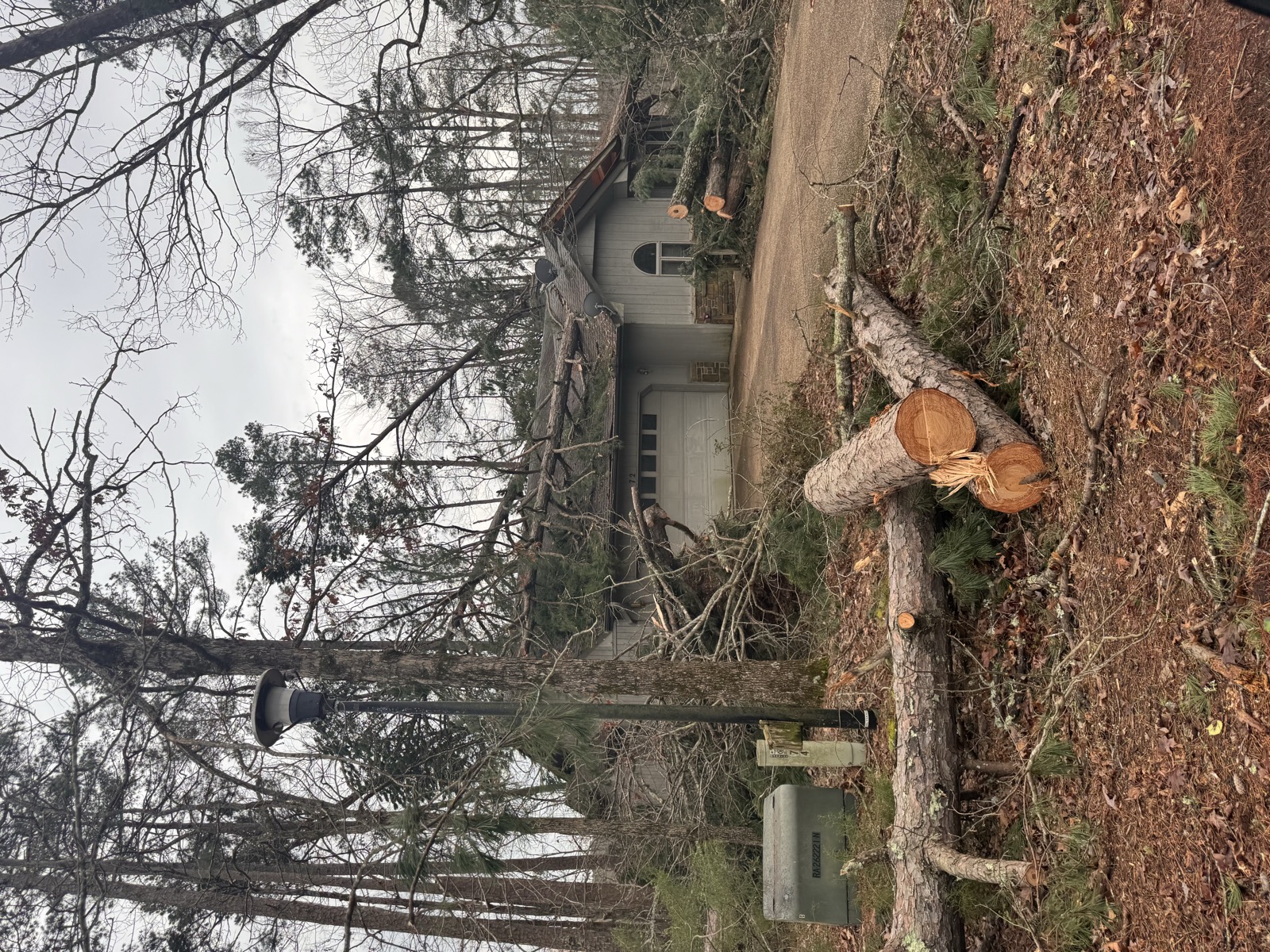 Fallen trees and storm damage to residential property in Arkansas