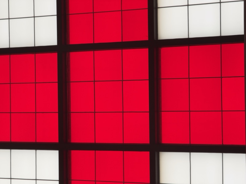 Red Cross field operations during disaster response