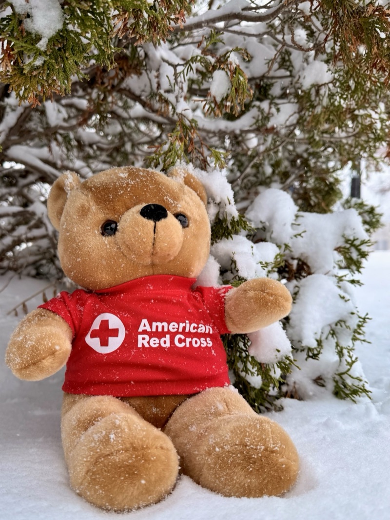 Red Cross volunteer team after a training event